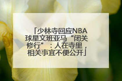 少林寺回应NBA球星文班亚马“闭关修行”：人在寺里，相关事宜不便公开
